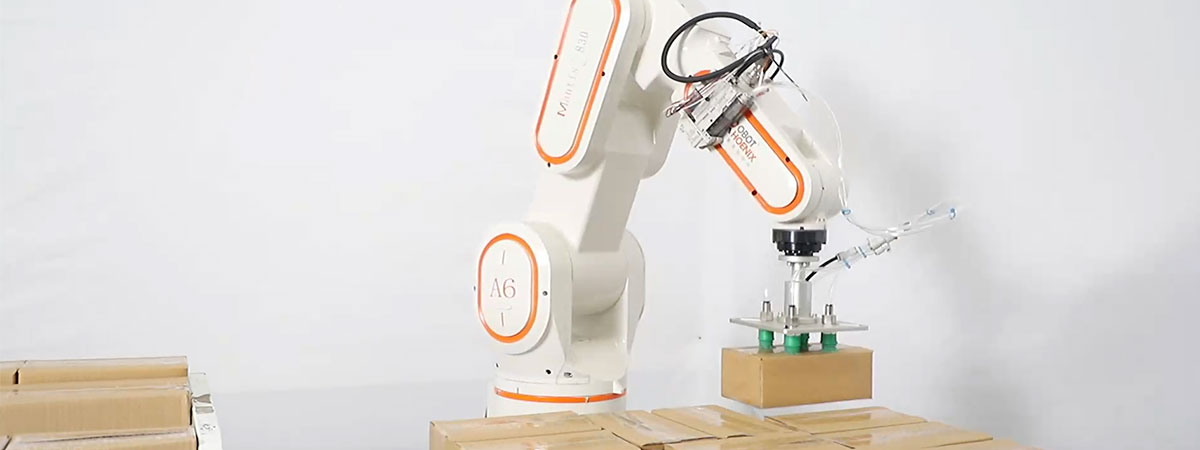 Làm thế nào để chọn đúng hệ thống xếp hàng Robot?